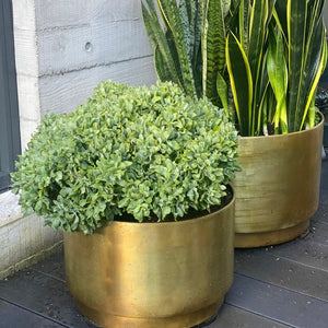 Indian Brass floating planter