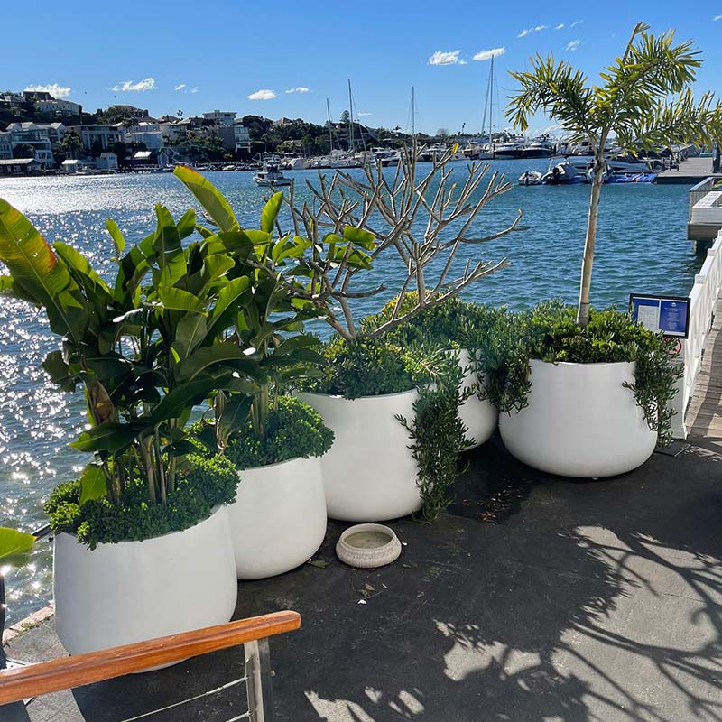 Pots Plants The Pot Warehouse