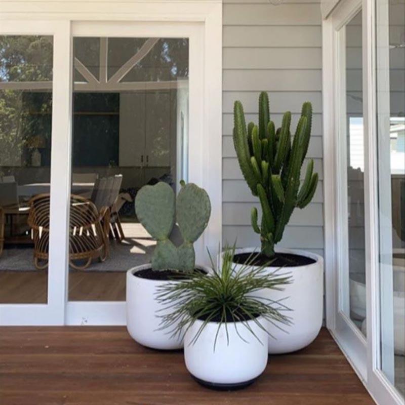 Pots Plants The Pot Warehouse