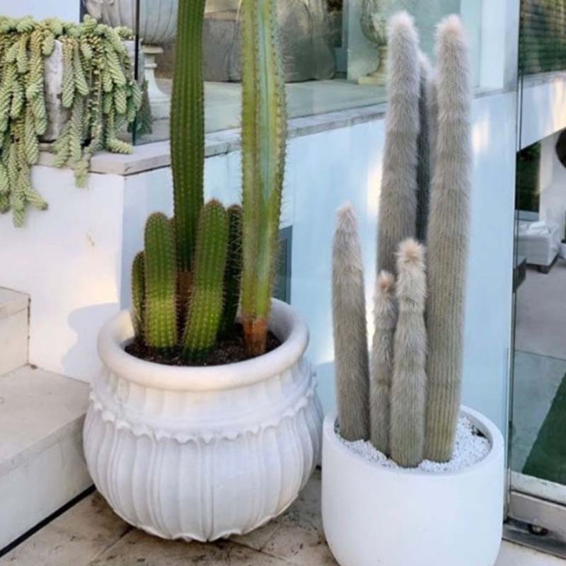 Pots Plants The Pot Warehouse