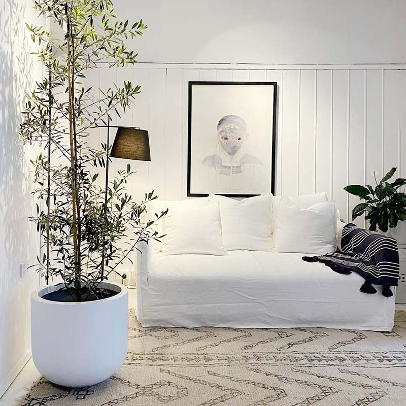 Pots Plants The Pot Warehouse