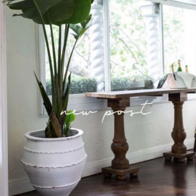 Pots Plants The Pot Warehouse