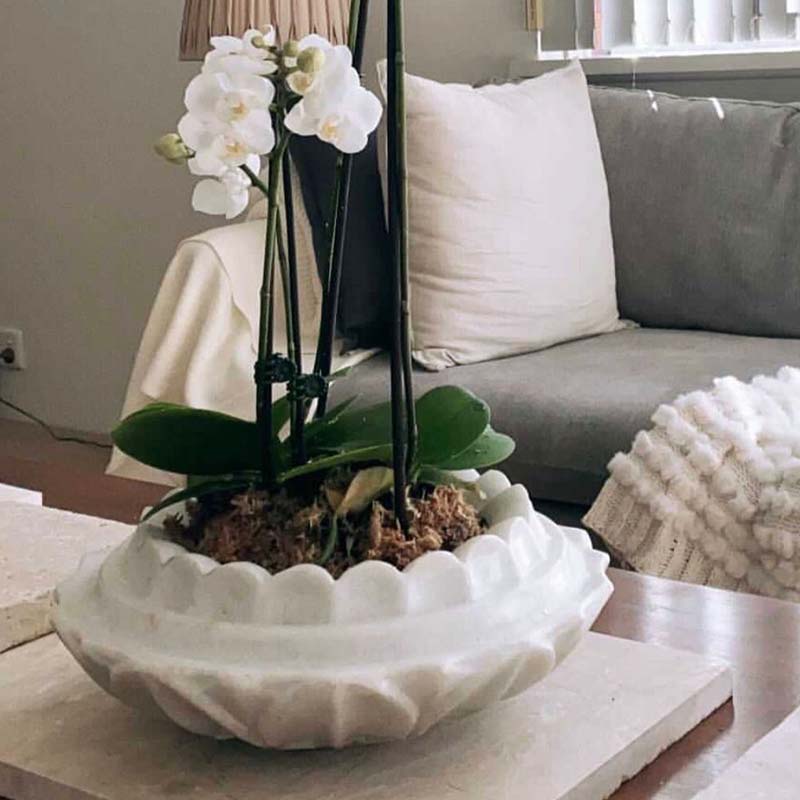 Pots Plants The Pot Warehouse