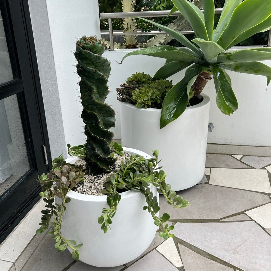 The Bilgola Planter