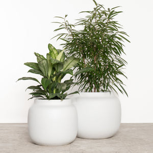 Mediterranean Range "SOLE"