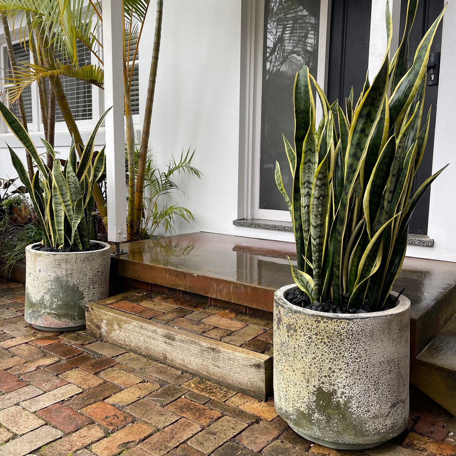 Woodfired Clay Cylinder Planter