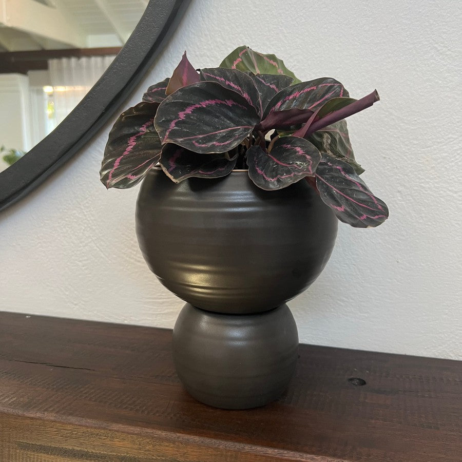 Spherical plant pot