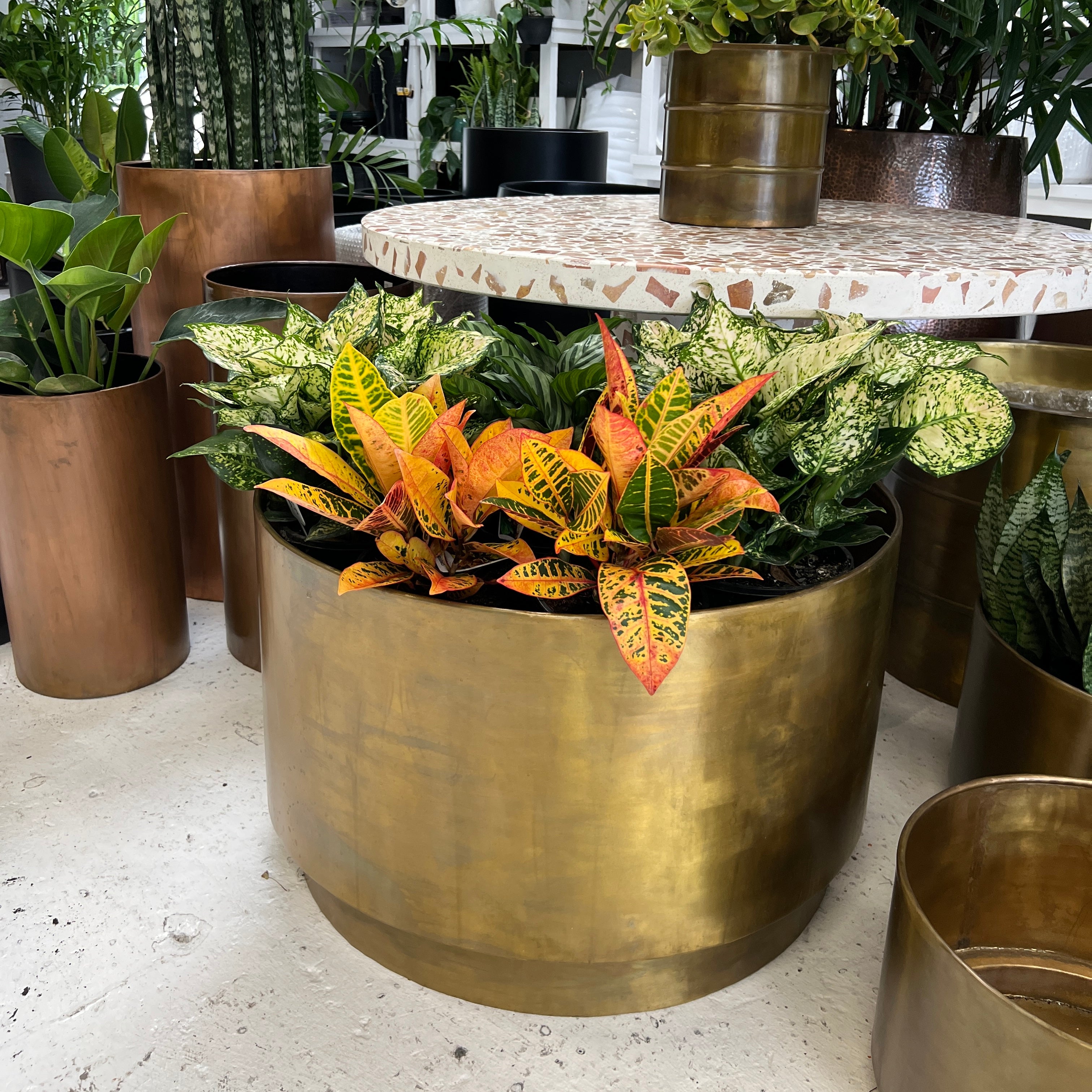 Indian Brass floating planter