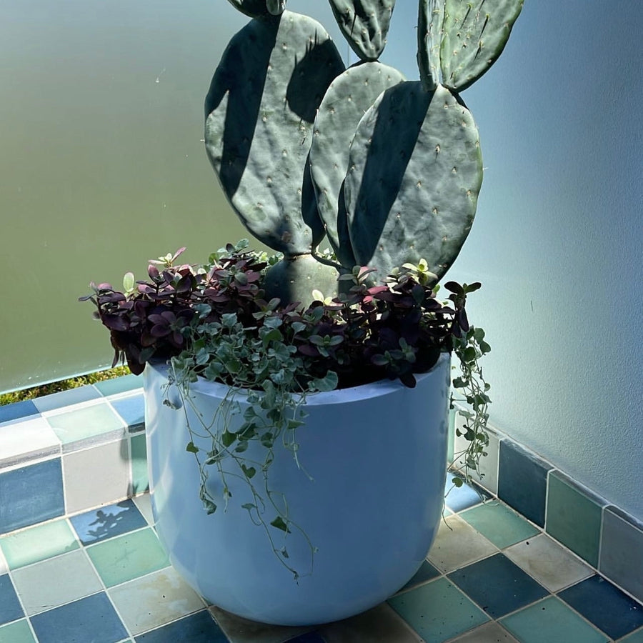 The Avalon Planter