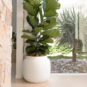 Mediterranean Range "SOLE"