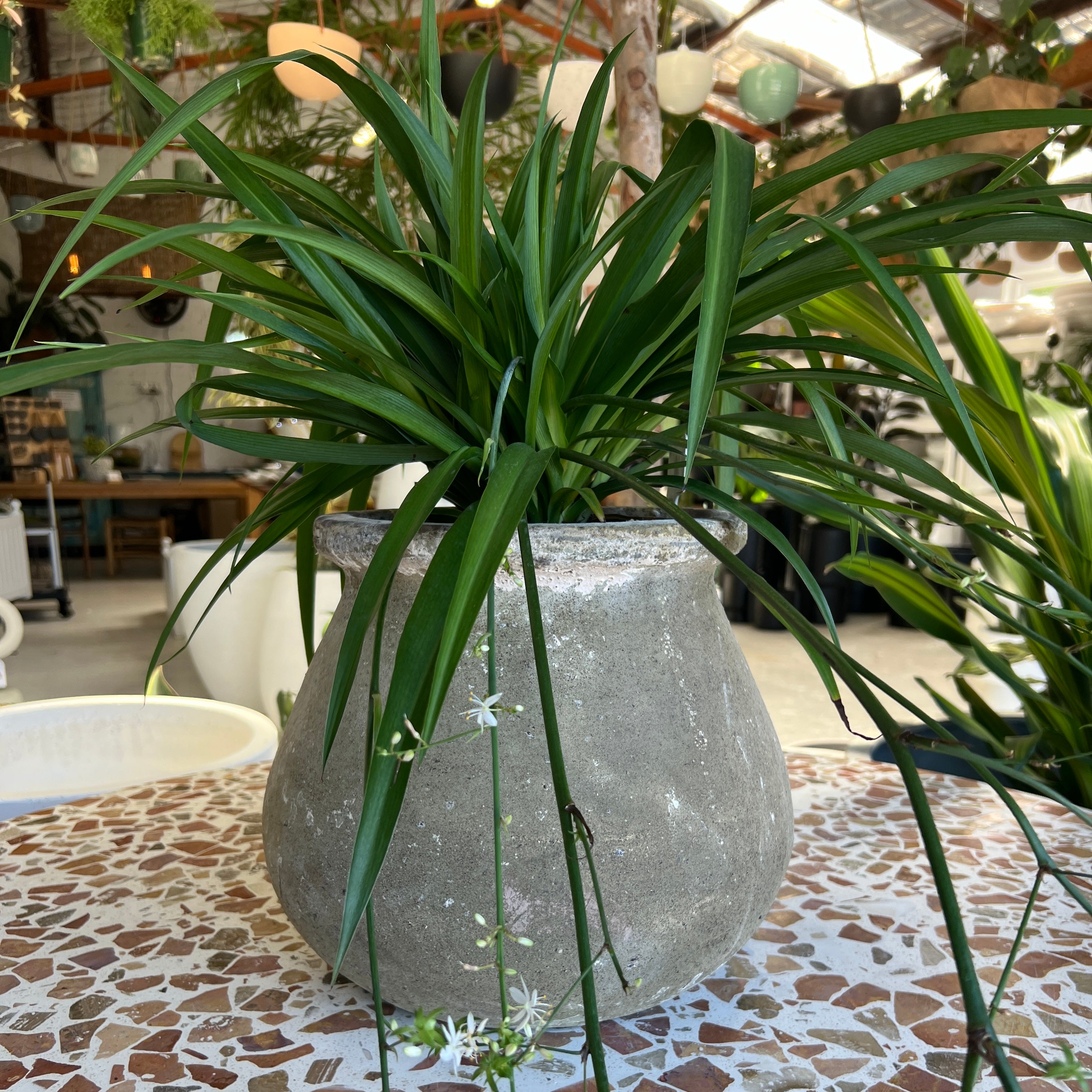 Leon Urn