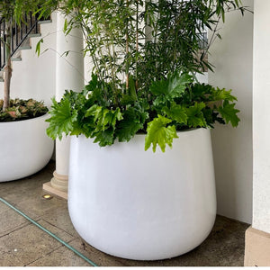 The Palm Beach Planter
