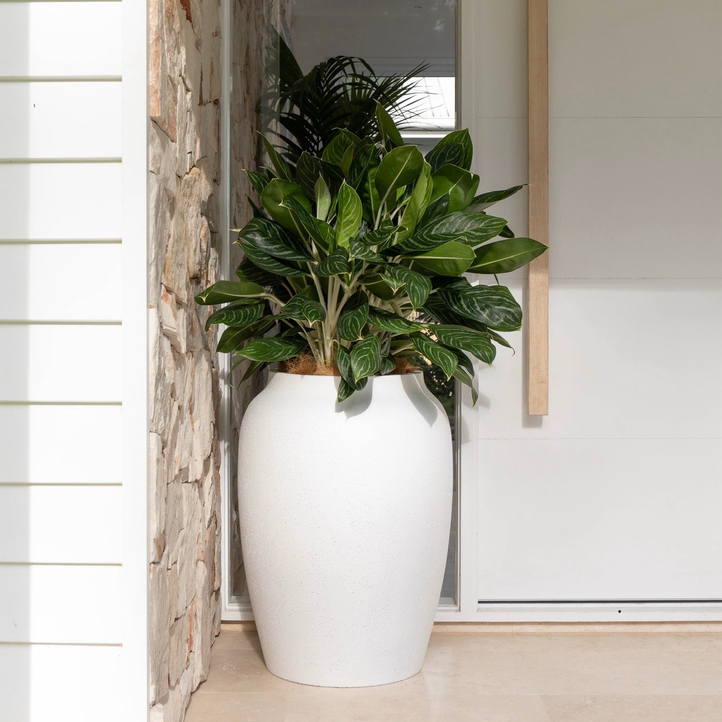 Mediterranean Range "ALBA"