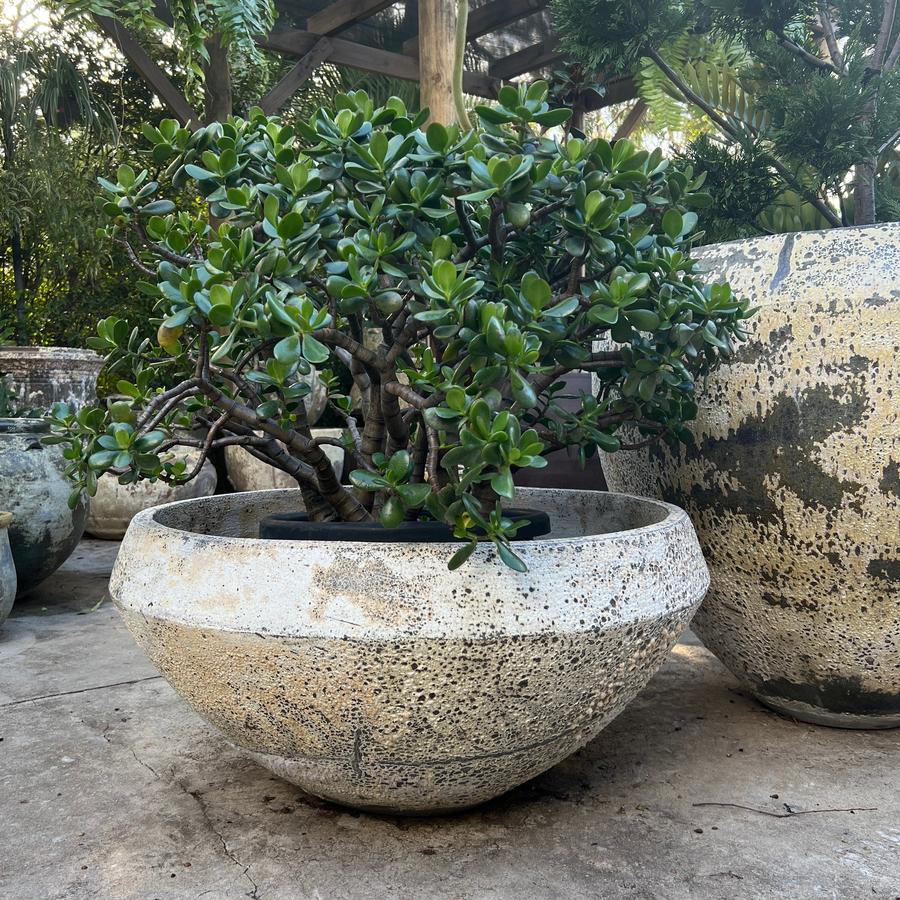 Woodfired Clay Water Bowl