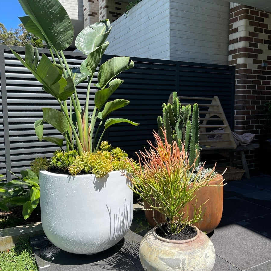 The Avalon Planter