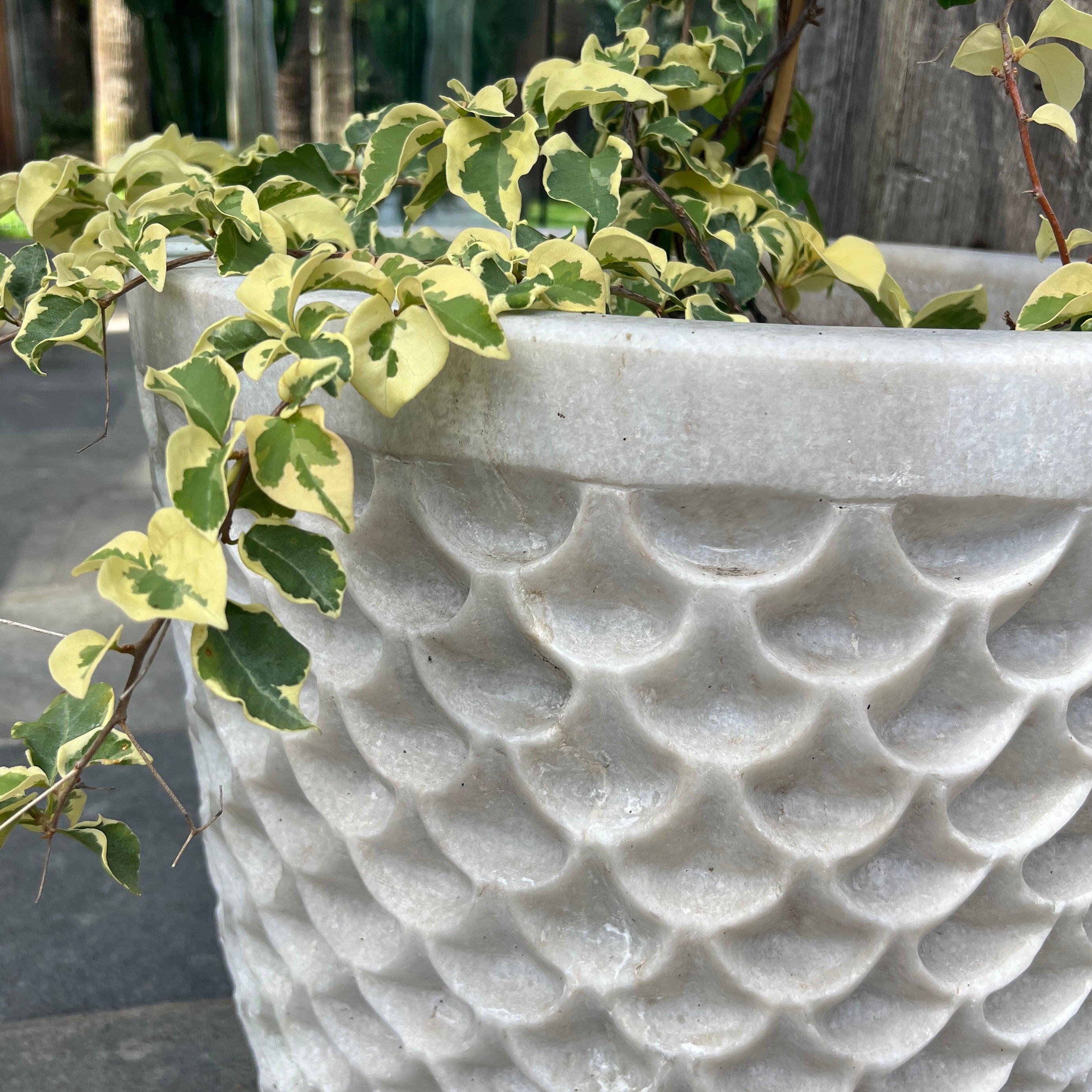 Marble fish scale planter