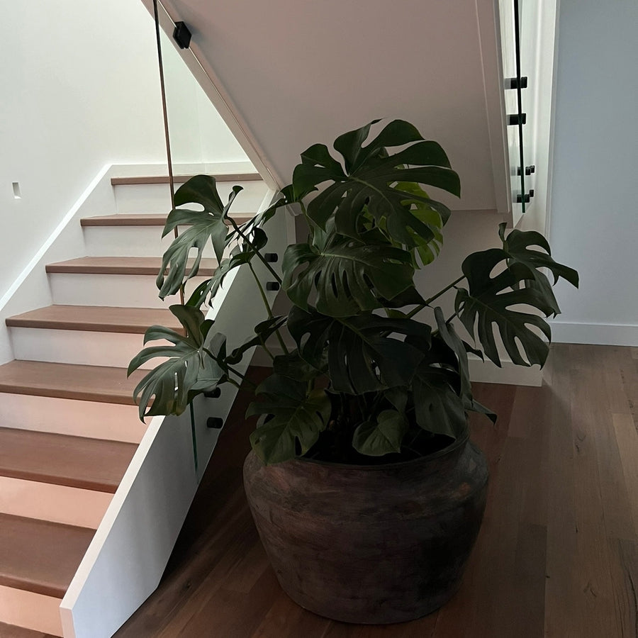 "Copper like Finish" Tub Planter