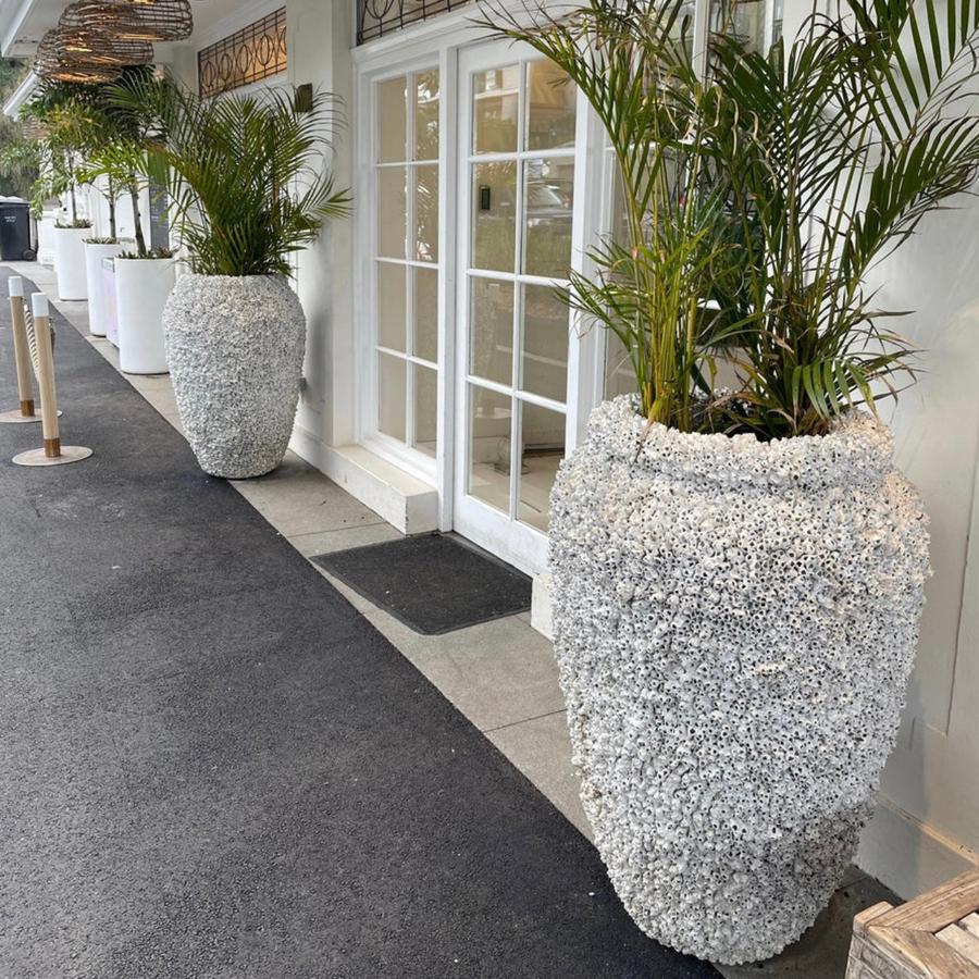 plant pots perth XL Barnacle pot