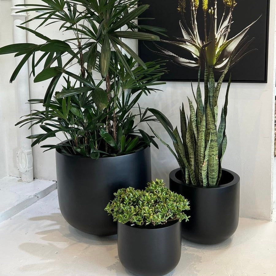 The Avalon Planter