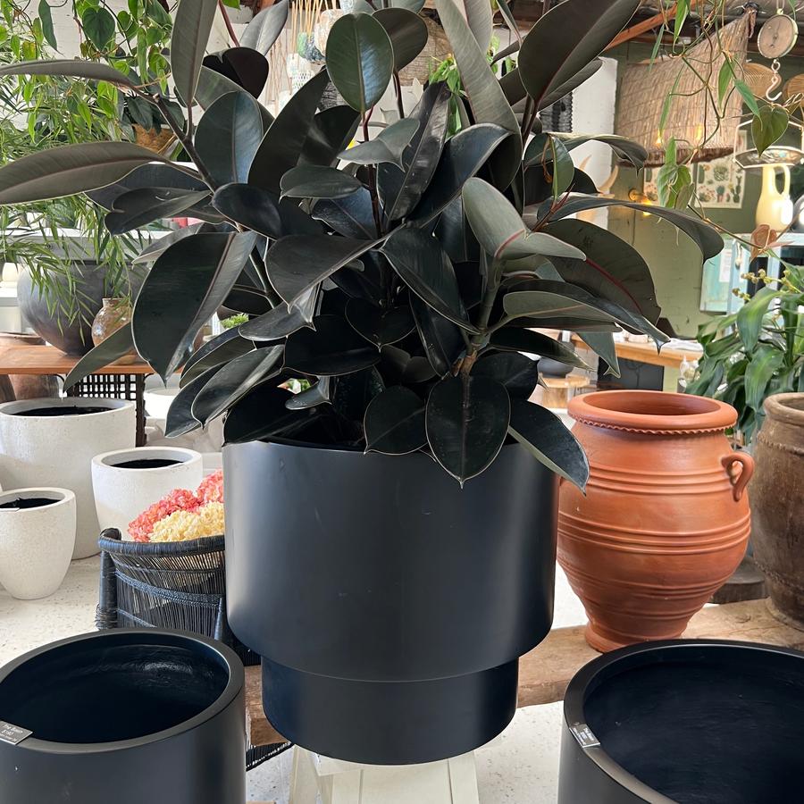 The Basin Planter