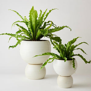 Spherical plant pot