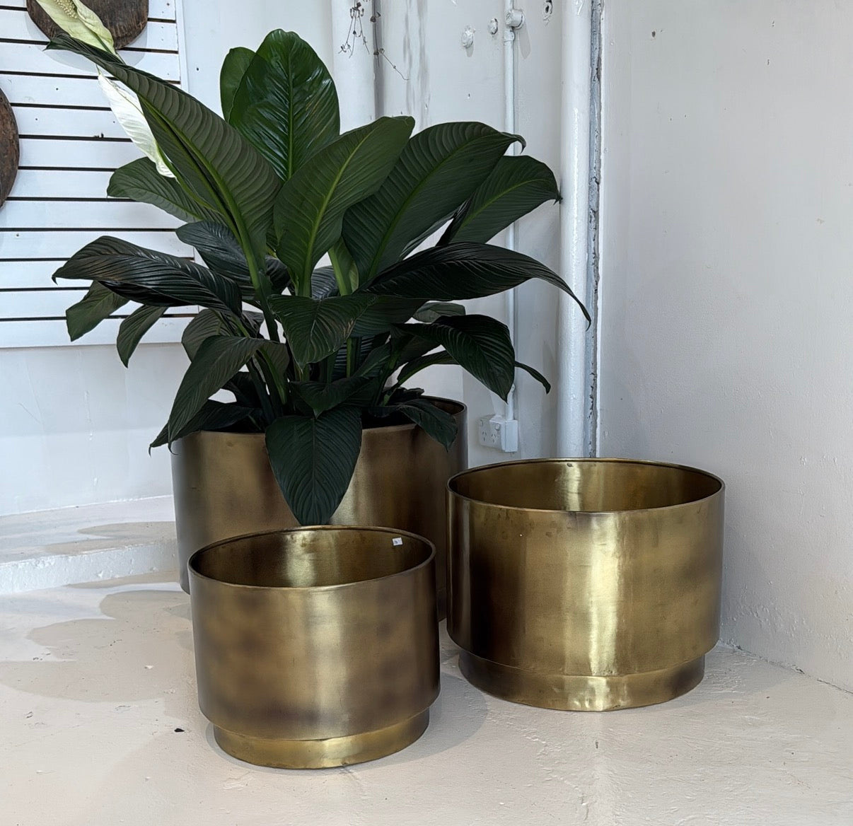 brass pots for plants india online Indian Brass floating planter