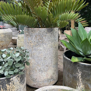 Woodfired Clay Cylinder Planter