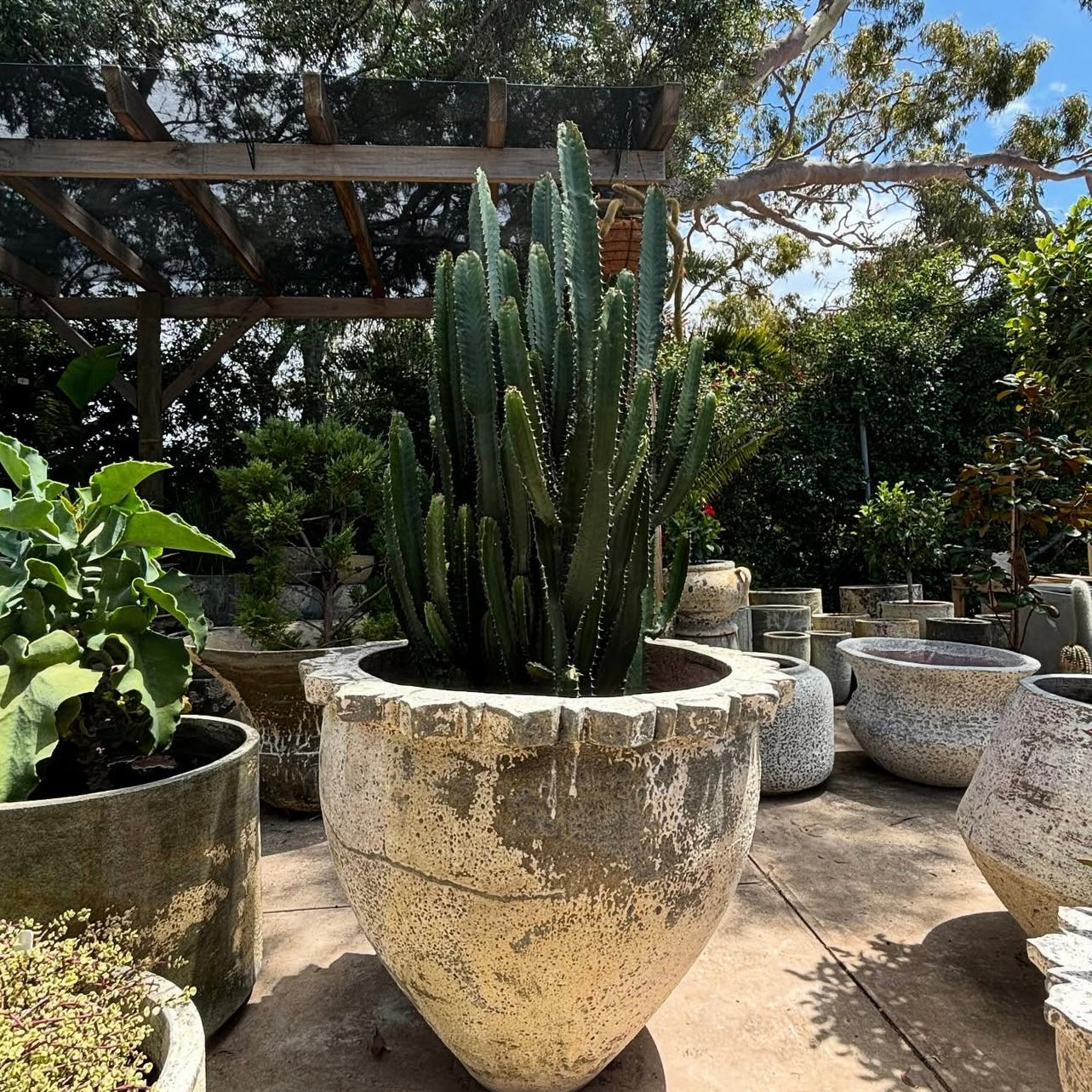 Woodfired Clay Capital Bowl