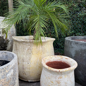 Wave Rustic Pot