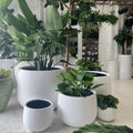 The Bondi Planter