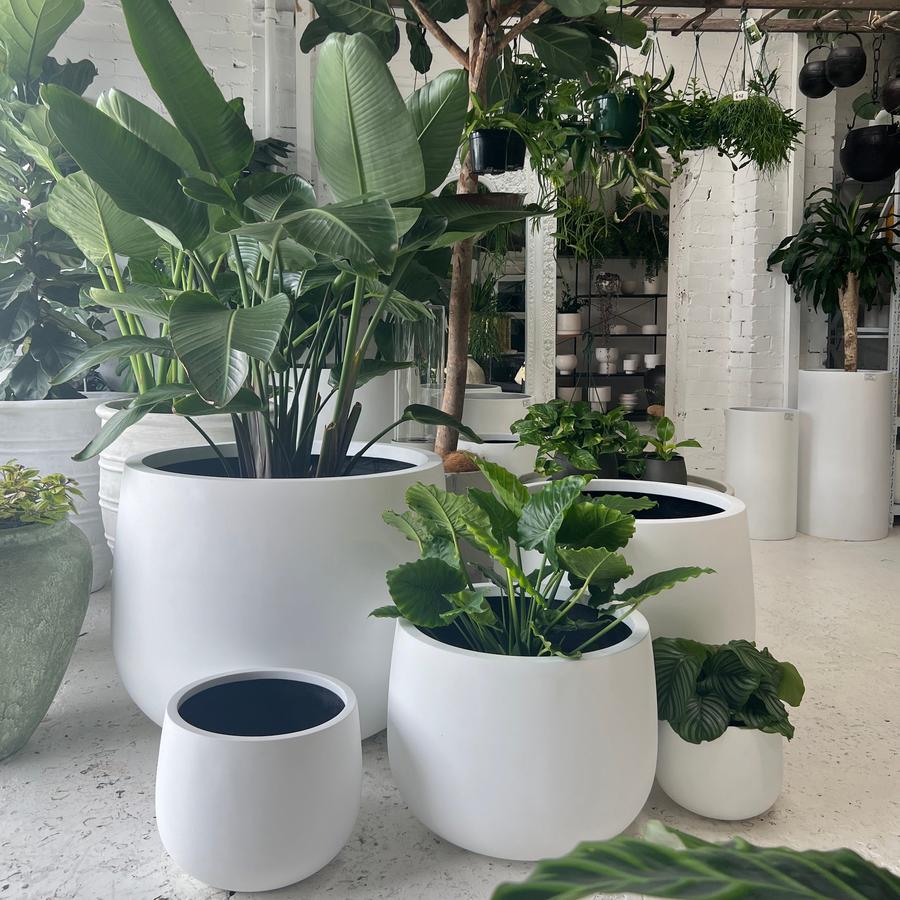 The Bondi Planter