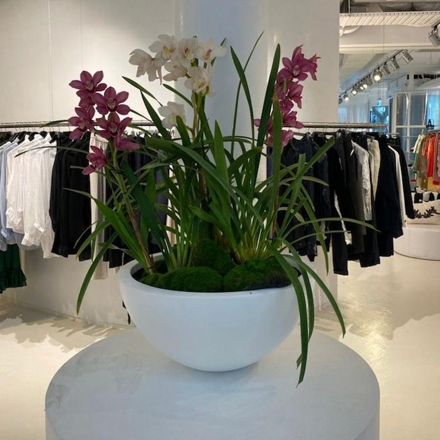 The Bungan Bowl Planter