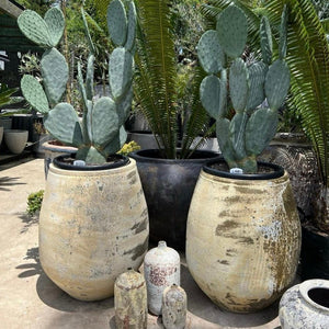 Woodfired Clay Tulip Planter
