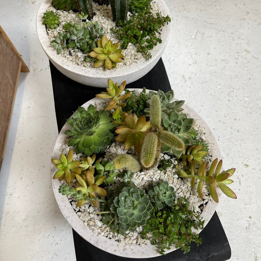 Flat Bottom Bowl - TERRAZZO