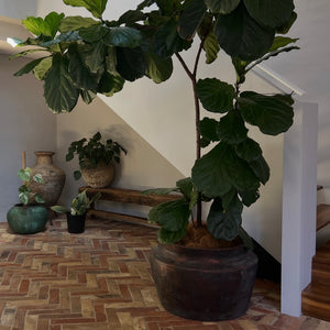 "Copper like Finish" Tub Planter
