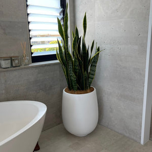 The Whale Beach Planter- Black/White