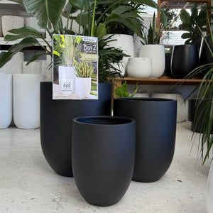 Shelly Planter (set of 3)