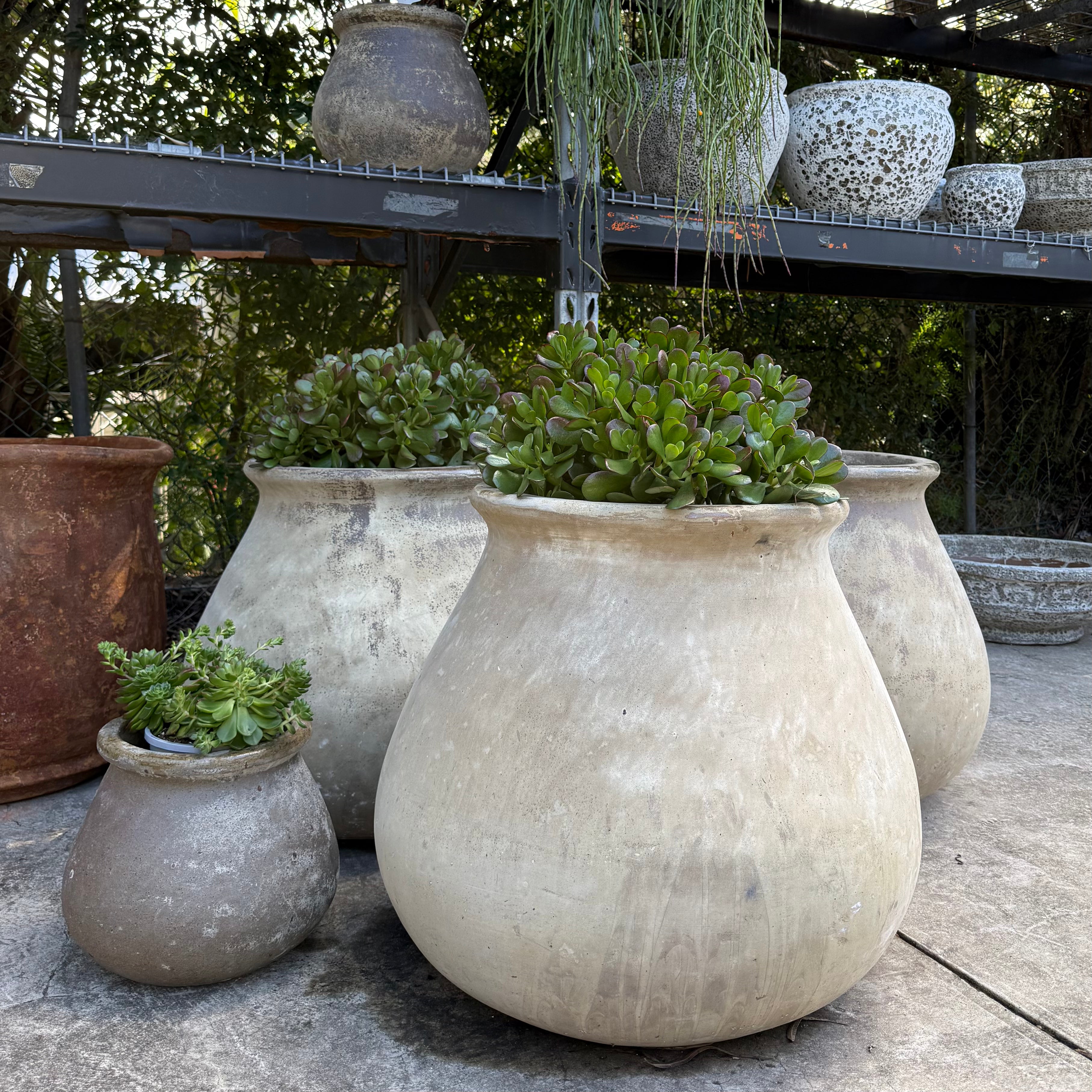 Leon Urn