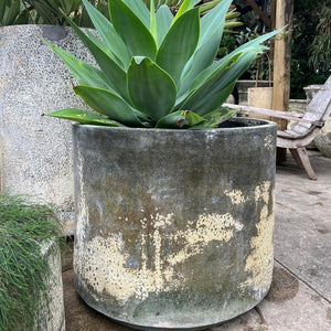 Woodfired Clay Cylinder Planter