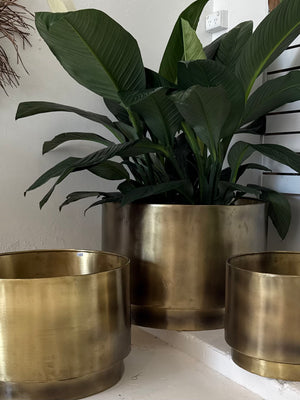 Indian Brass floating planter