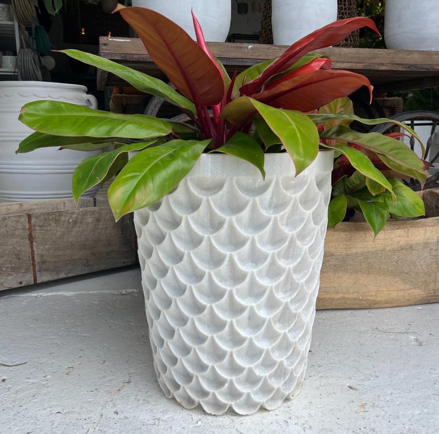 Marble fish scale planter