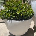 Giant Egg Planter - TERRAZZO
