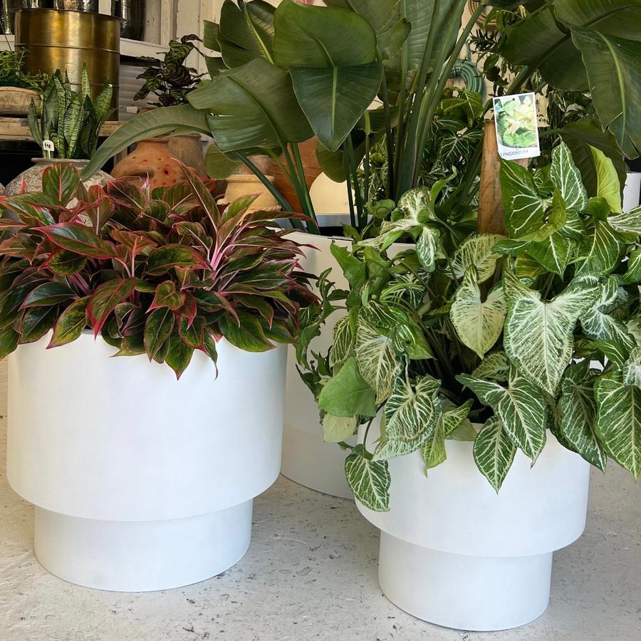 The Basin Planter
