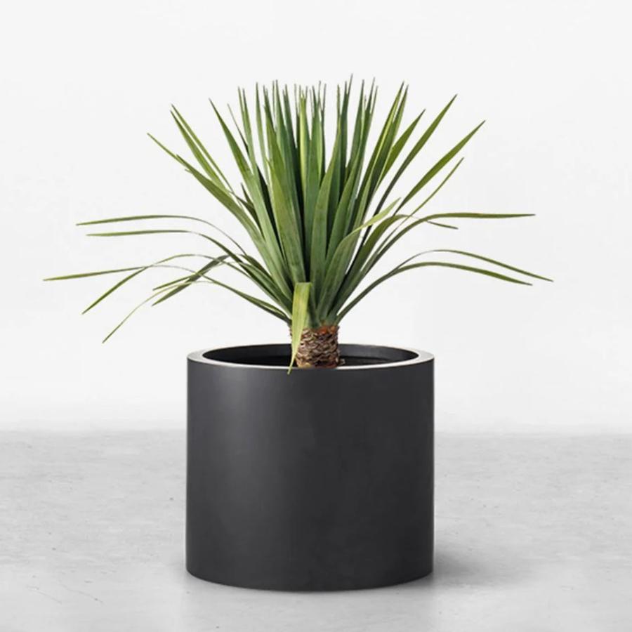 The Bilgola Planter