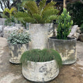 Woodfired Clay Cylinder Planter