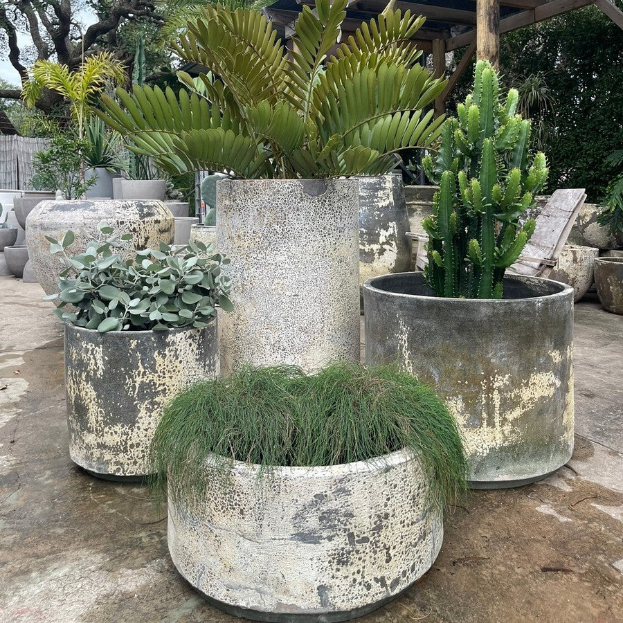 Woodfired Clay Cylinder Planter