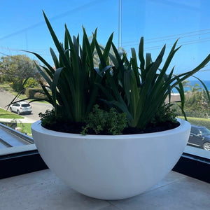 The Bungan Bowl Planter
