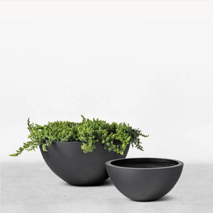 The Bungan Bowl Planter