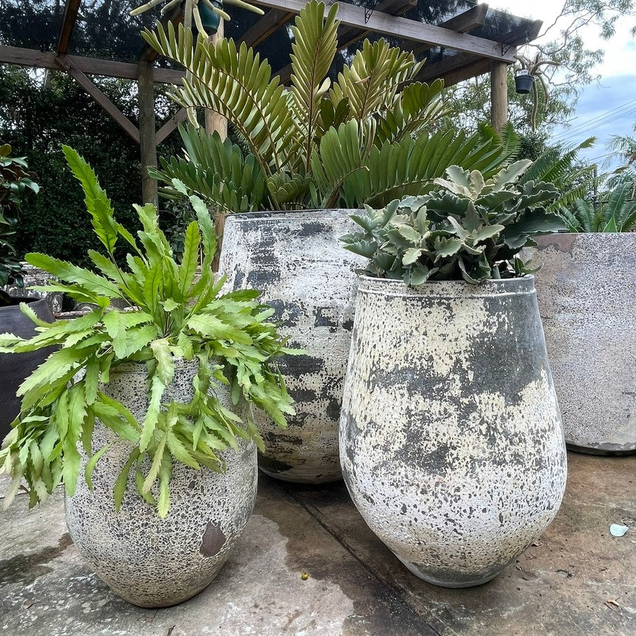 Woodfired Clay Tulip Planter