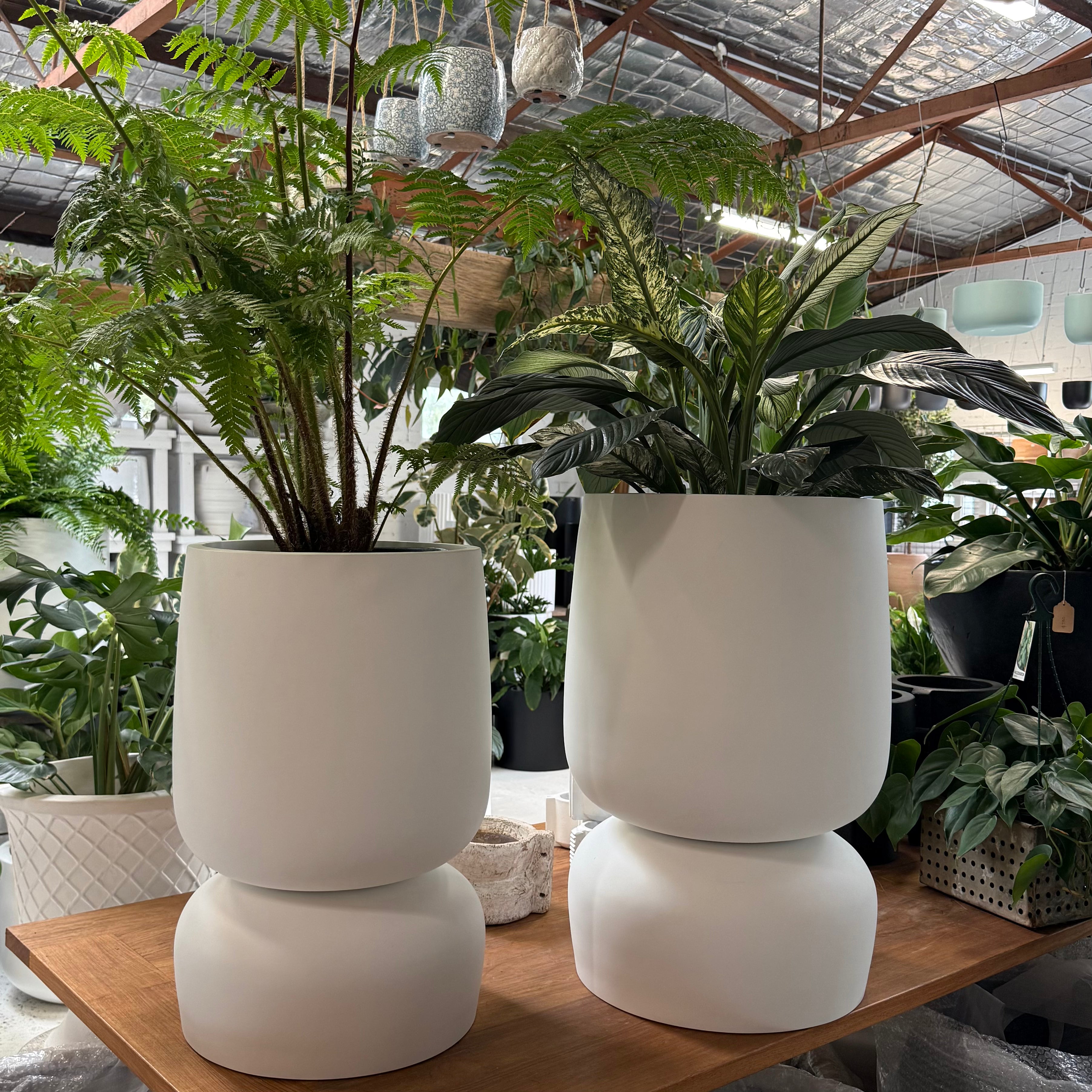 Balmoral Planter